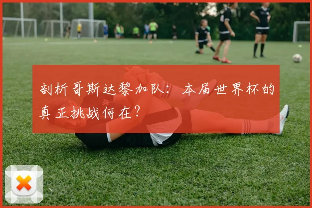 剖析哥斯达黎加队：本届世界杯的真正挑战何在？
