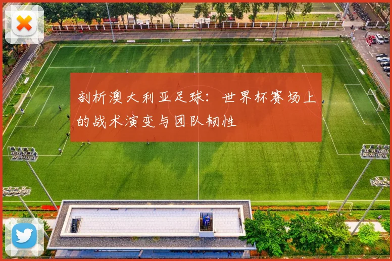 剖析澳大利亚足球：世界杯赛场上的战术演变与团队韧性