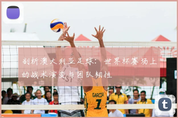 剖析澳大利亚足球：世界杯赛场上的战术演变与团队韧性