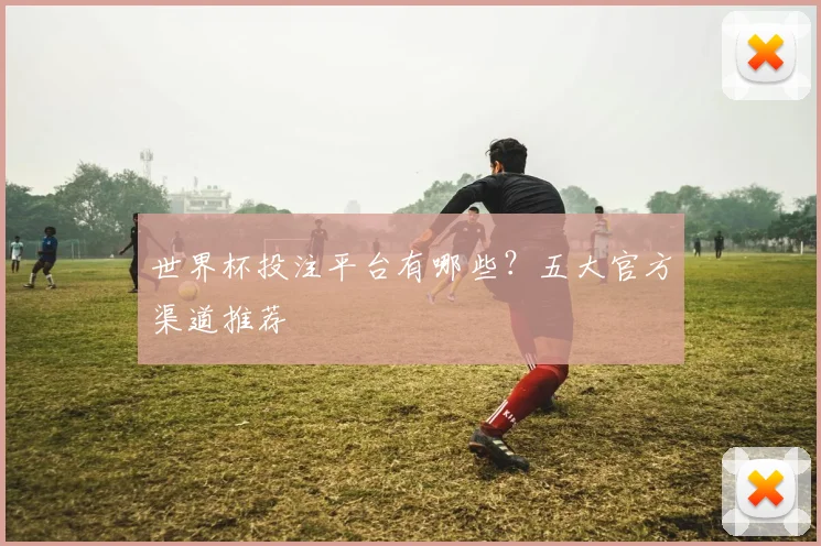 世界杯投注平台有哪些?五大官方渠道推荐