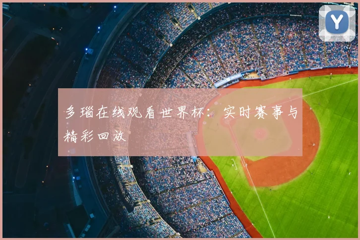 多瑙在线观看世界杯：实时赛事与精彩回放