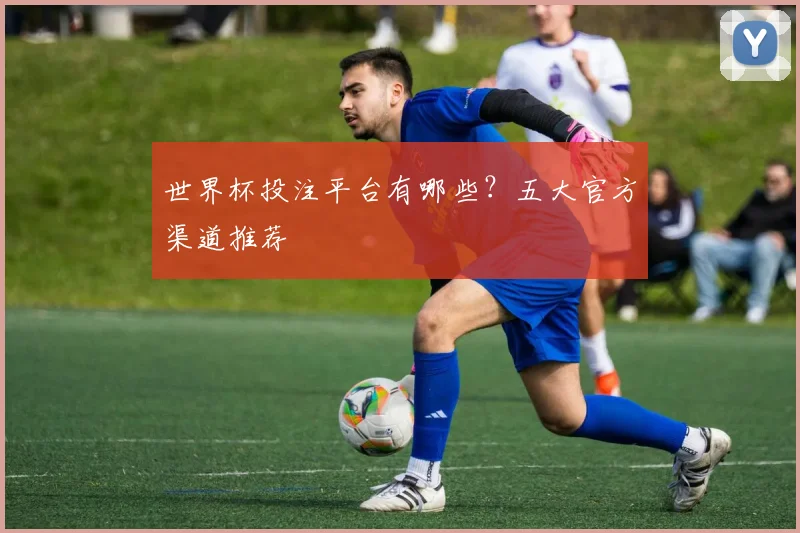 世界杯投注平台有哪些?五大官方渠道推荐