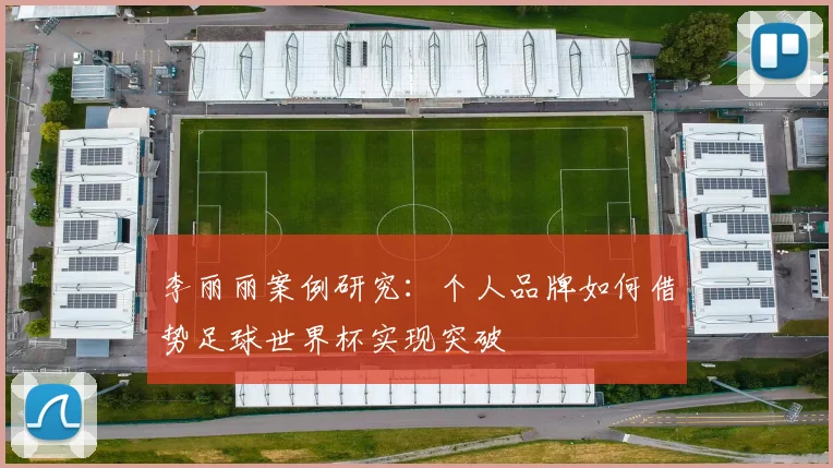 李丽丽案例研究：个人品牌如何借势足球世界杯实现突破